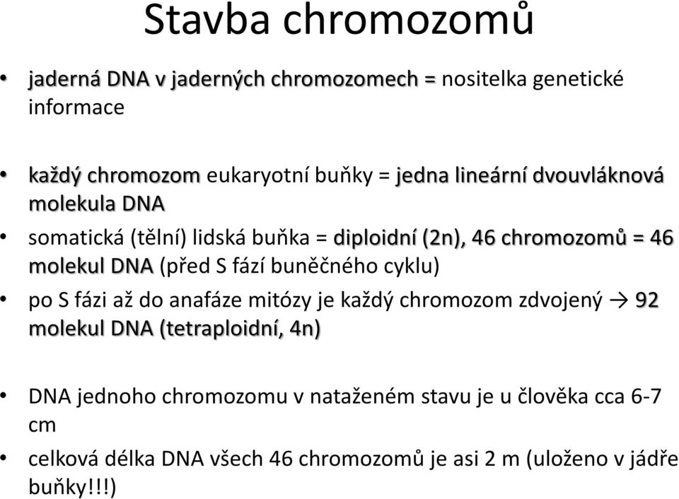 S fází buněčného cyklu) po S fázi až do anafáze mitózy je každý chromozom zdvojený 92 molekul DNA (tetraploidní, 4n) DNA