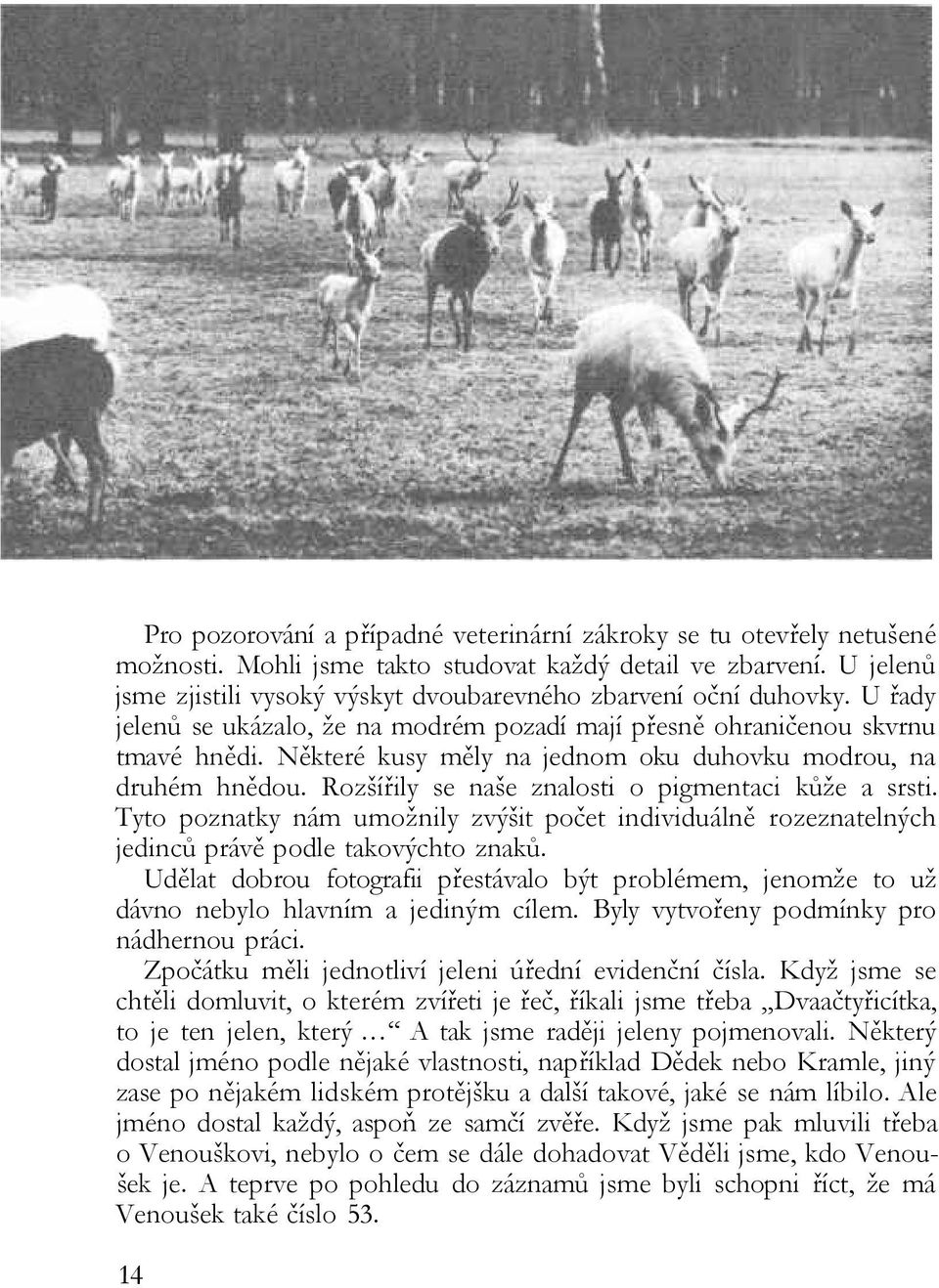 Některé kusy měly na jednom oku duhovku modrou, na druhém hnědou. Rozšířily se naše znalosti o pigmentaci kůže a srsti.