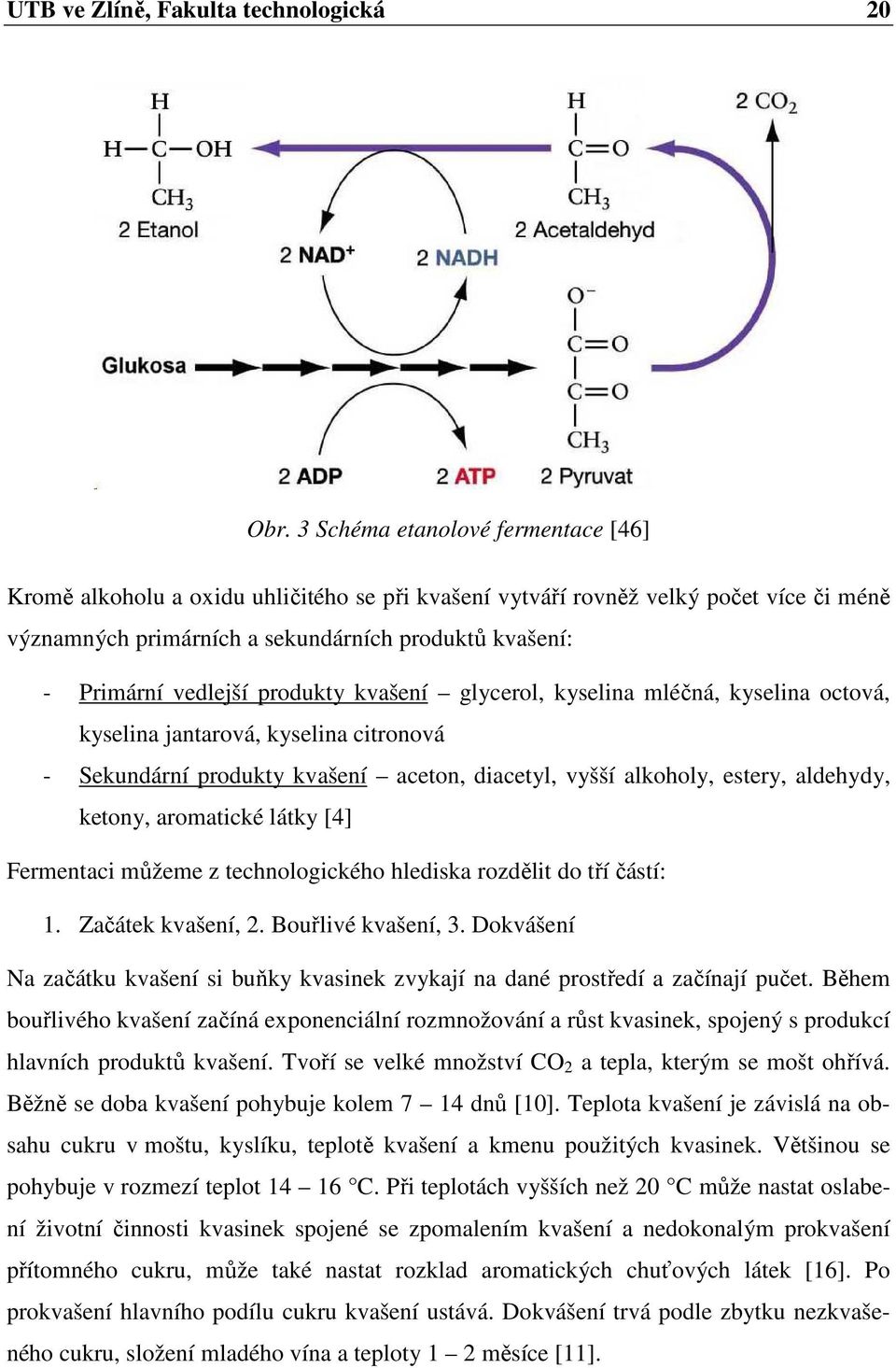 produkty kvašení glycerol, kyselina mléčná, kyselina octová, kyselina jantarová, kyselina citronová - Sekundární produkty kvašení aceton, diacetyl, vyšší alkoholy, estery, aldehydy, ketony,