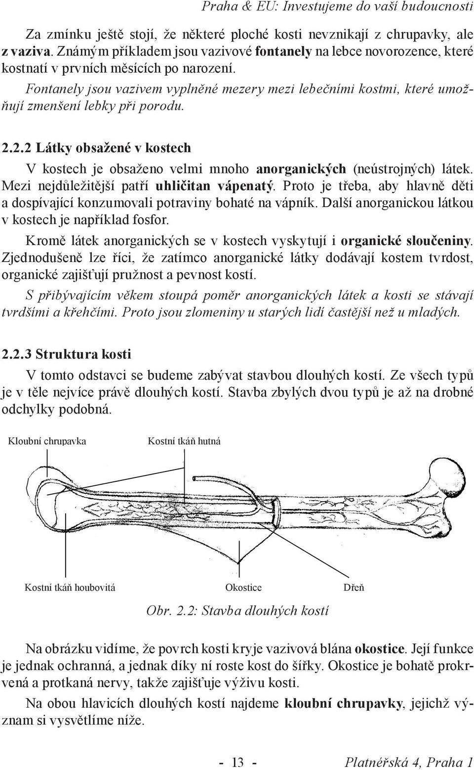 Fontanely jsou vazivem vyplněné mezery mezi lebečními kostmi, které umožňují v prvních zmenšení měsících lebky po narození.