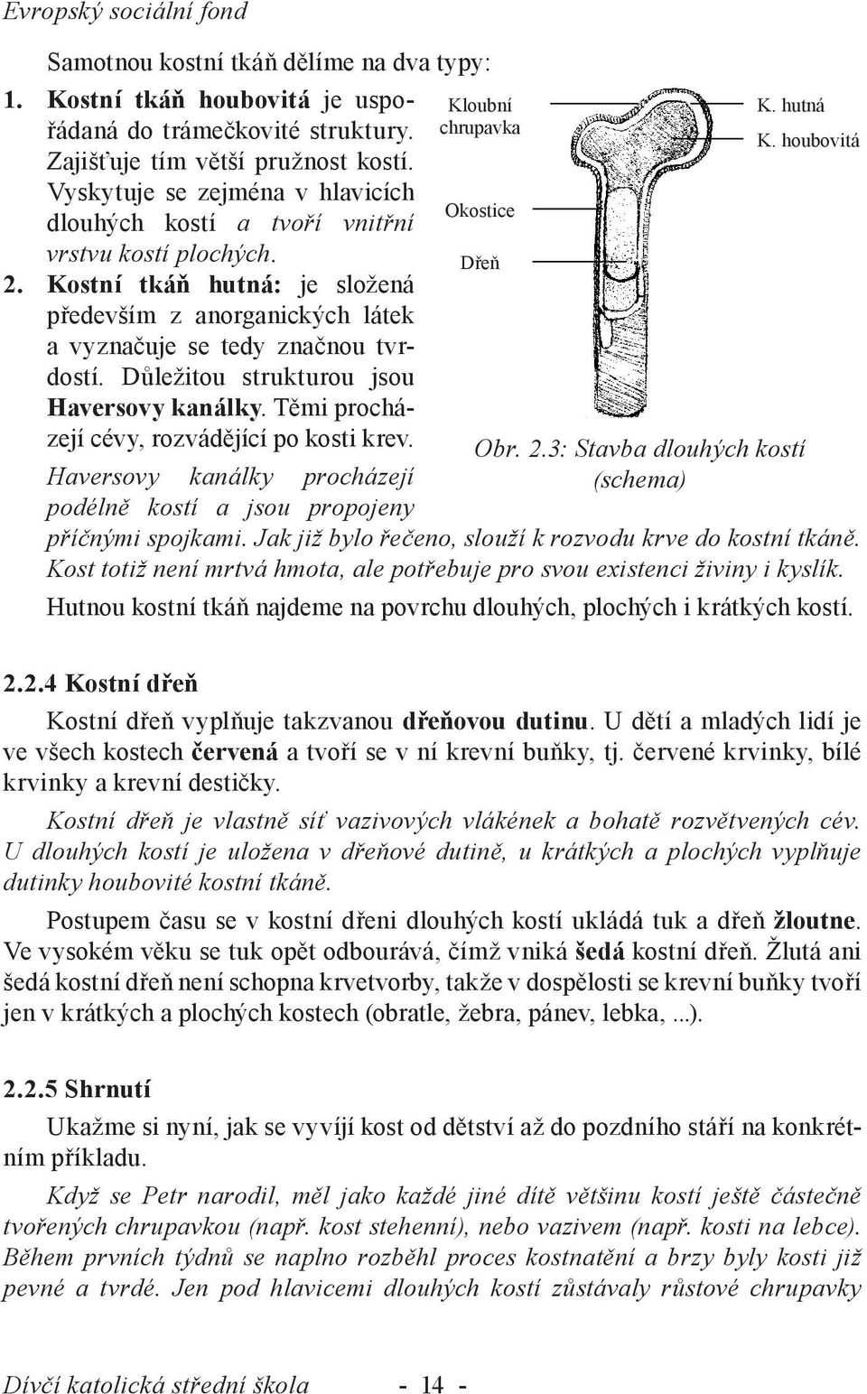 se zejména Vyskytuje v hlavicích se zejména dlouhých v hlavicích kostí a Okostice tvoří dlouhých vnitřní vrstvu kostí kostí a plochých. tvoří vnitřní vrstvu kostí plochých. Dřeň 2.