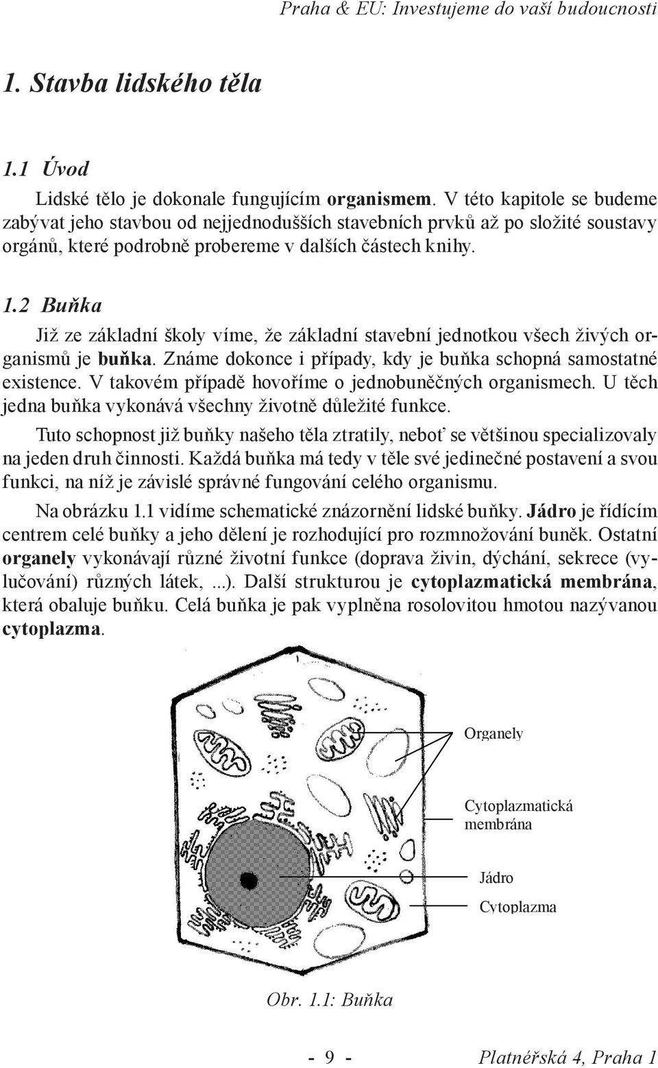 2 Buňka Již ze základní školy víme, že základní stavební jednotkou všech živých organismů je buňka. Známe dokonce i případy, kdy je buňka schopná samostatné existence.