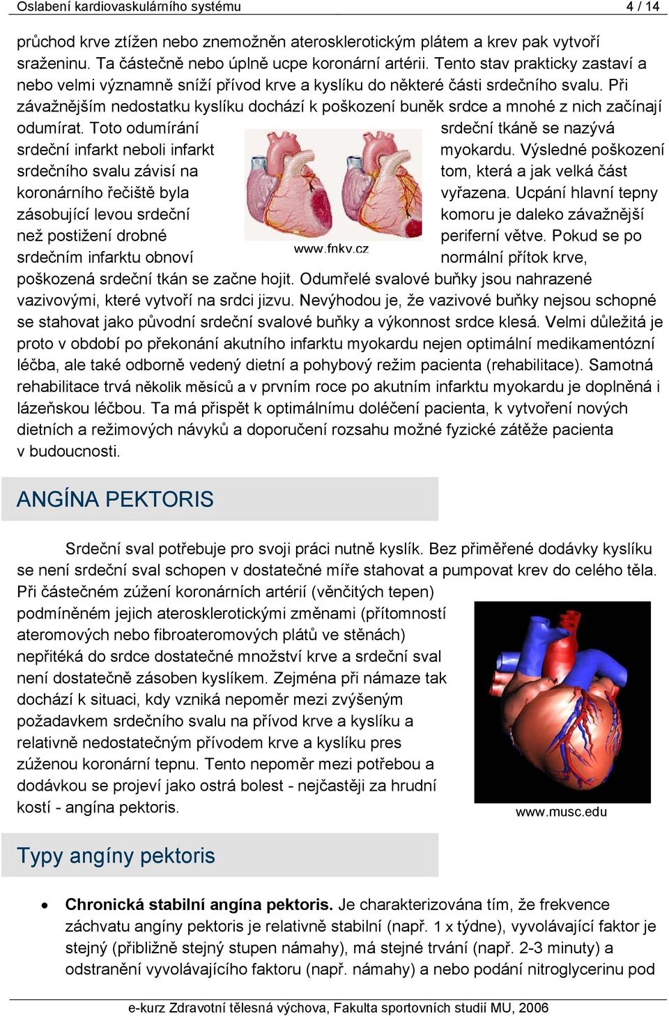 Při závažnějším nedostatku kyslíku dochází k poškození buněk srdce a mnohé z nich začínají odumírat. Toto odumírání srdeční tkáně se nazývá srdeční infarkt neboli infarkt myokardu.