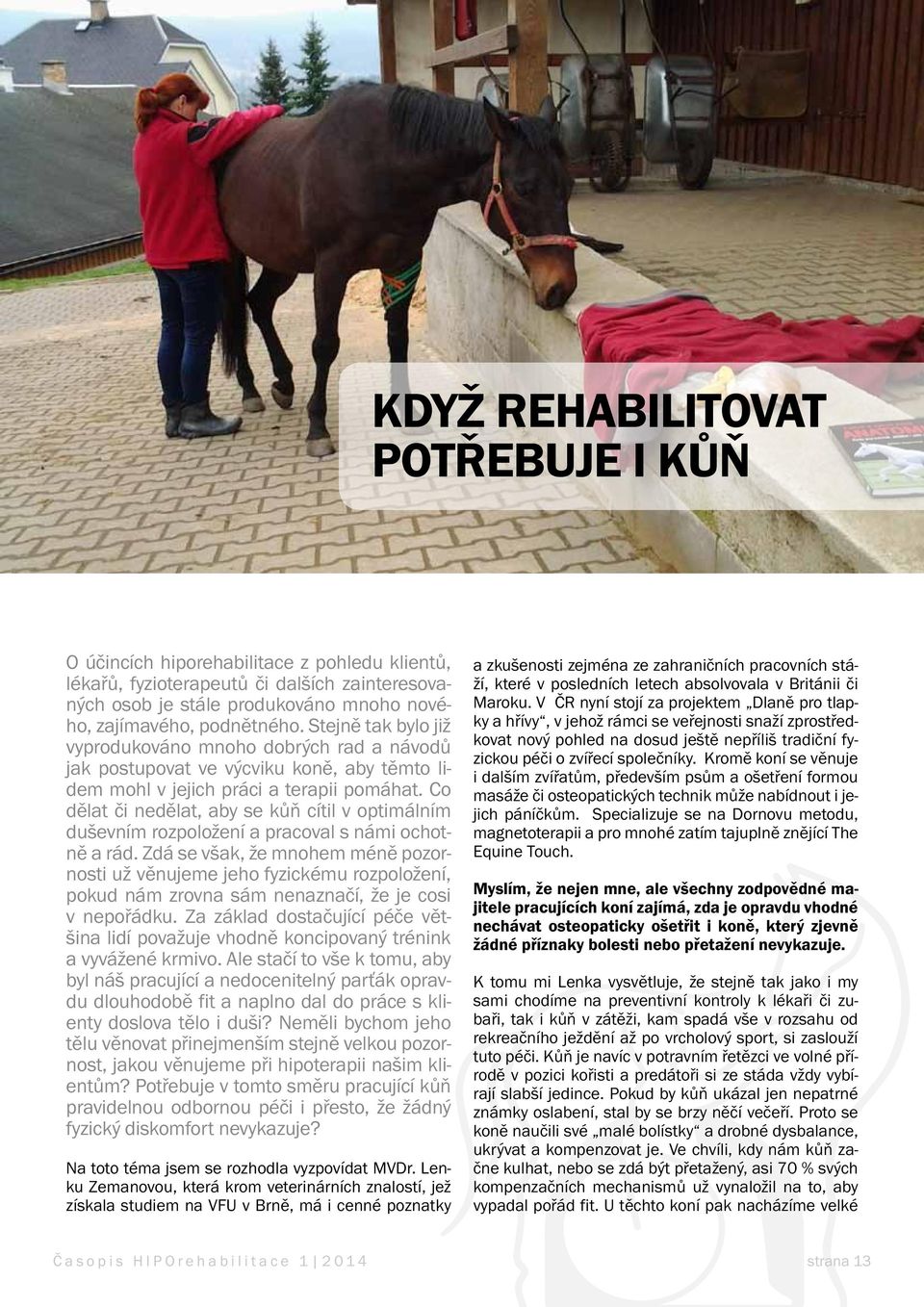 Co dělat či nedělat, aby se kůň cítil v optimálním duševním rozpoložení a pracoval s námi ochotně a rád.