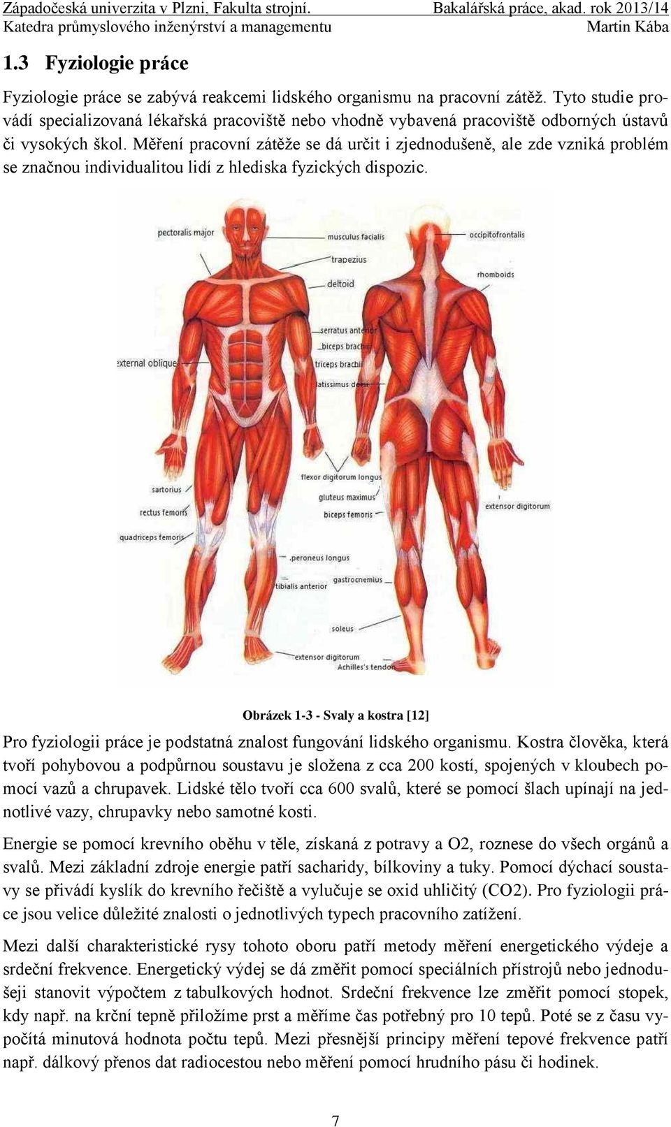 Měření pracovní zátěže se dá určit i zjednodušeně, ale zde vzniká problém se značnou individualitou lidí z hlediska fyzických dispozic.