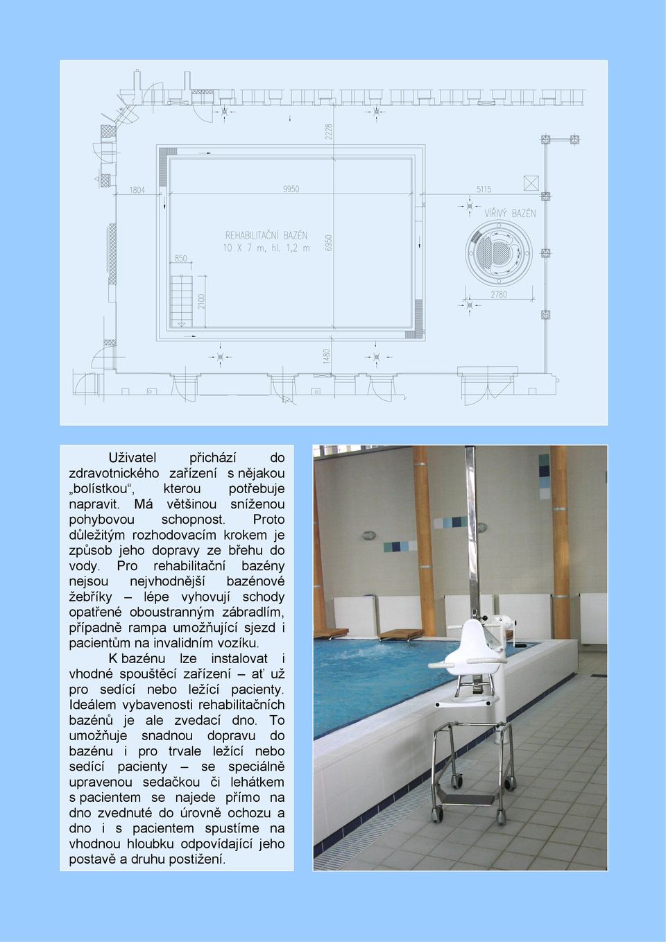 Pro rehabilitační bazény nejsou nejvhodnější bazénové žebříky lépe vyhovují schody opatřené oboustranným zábradlím, případně rampa umožňující sjezd i pacientům na invalidním vozíku.