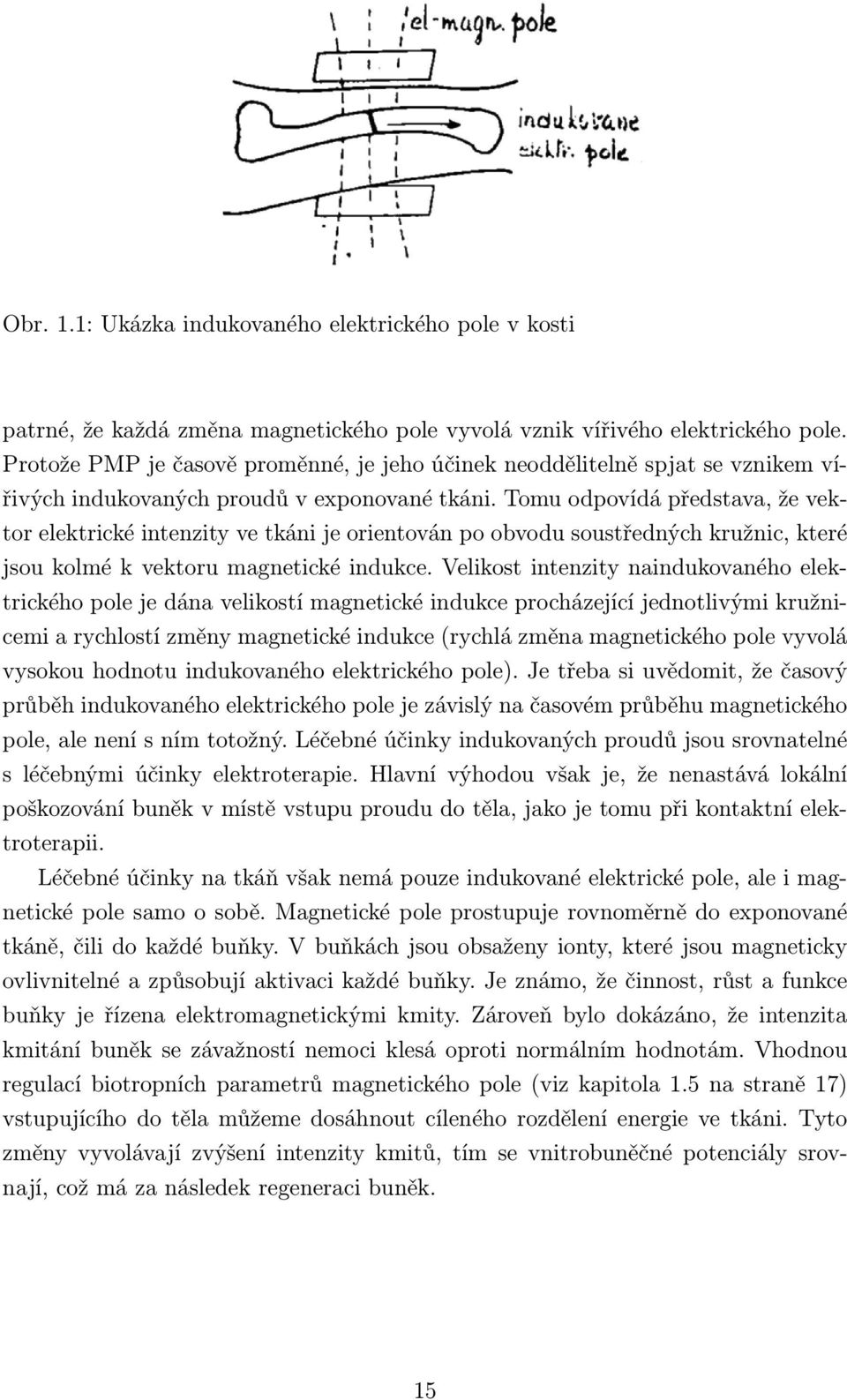 Tomu odpovídá představa, že vektor elektrické intenzity ve tkáni je orientován po obvodu soustředných kružnic, které jsou kolmé k vektoru magnetické indukce.