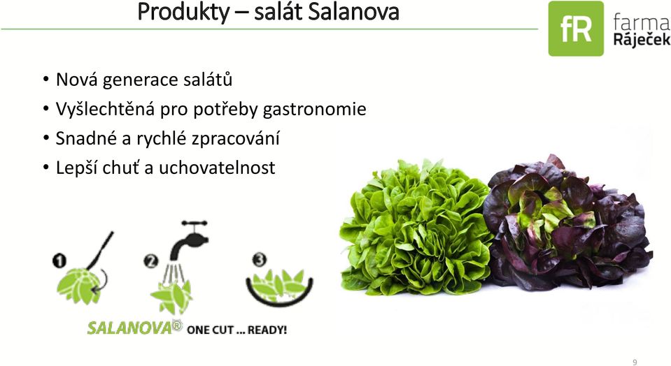 potřeby gastronomie Snadné a