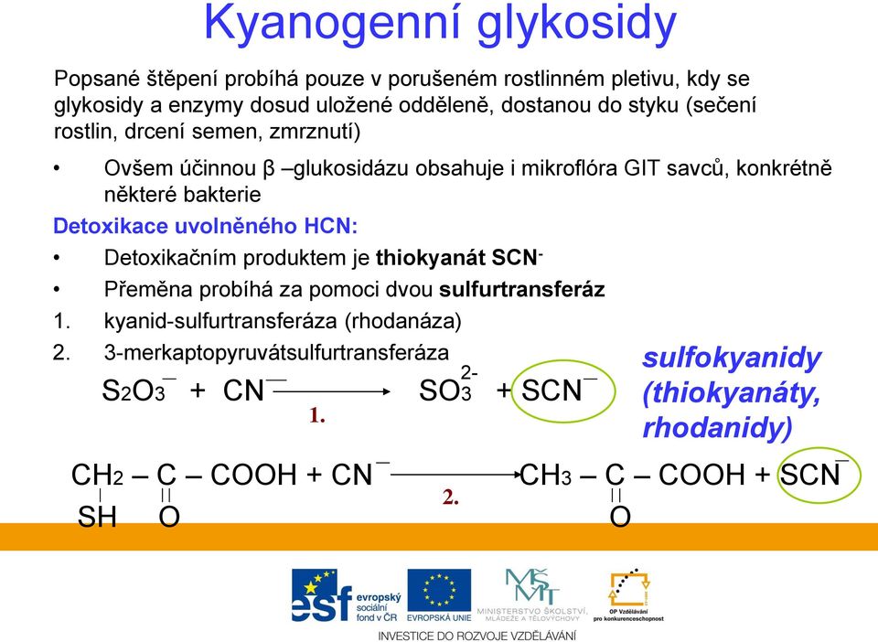 uvolněného HCN: Detoxikačním produktem je thiokyanát SCN - Přeměna probíhá za pomoci dvou sulfurtransferáz 1.