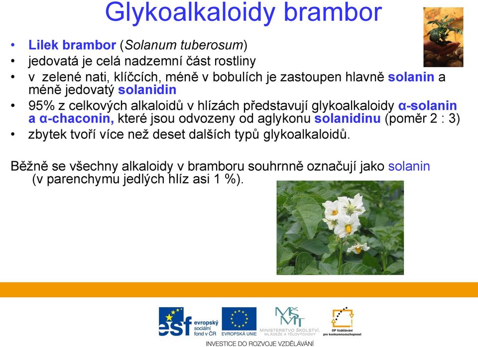 glykoalkaloidy α-solanin a α-chaconin, které jsou odvozeny od aglykonu solanidinu (poměr 2 : 3) zbytek tvoří více než deset