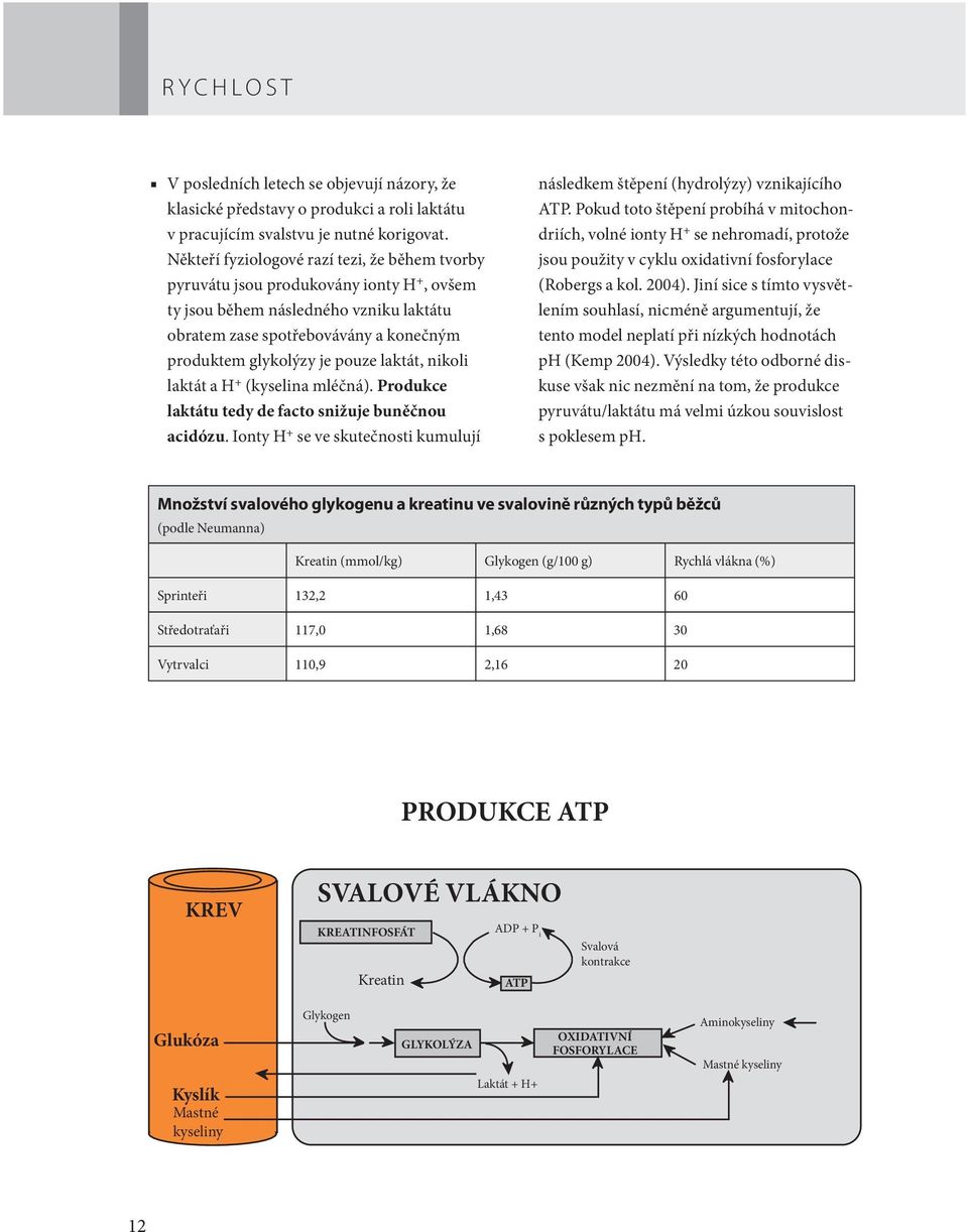 laktát, nikoli laktát a H + (kyselina mléčná). Produkce laktátu tedy de facto snižuje buněčnou acidózu. Ionty H + se ve skutečnosti kumulují následkem štěpení (hydrolýzy) vznikajícího ATP.