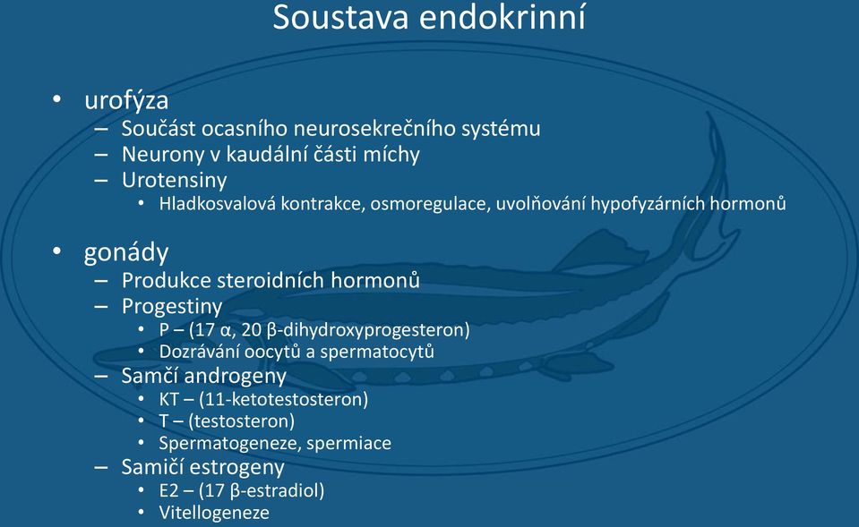 steroidních hormonů Progestiny P (17 α, 20 β-dihydroxyprogesteron) Dozrávání oocytů a spermatocytů Samčí