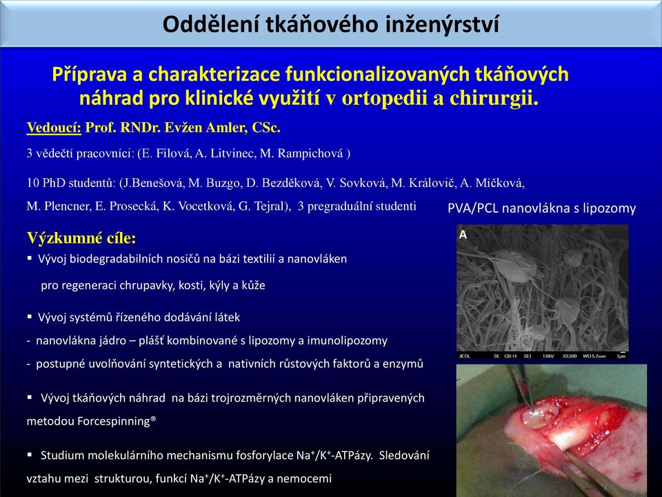 Rampichová ) 10 PhD studentů: (J.Benešová, M. Buzgo, D. Bezděková, V. Sovková, M. Královič, A. Míčková, M. Plencner, E. Prosecká, K. Vocetková, G.