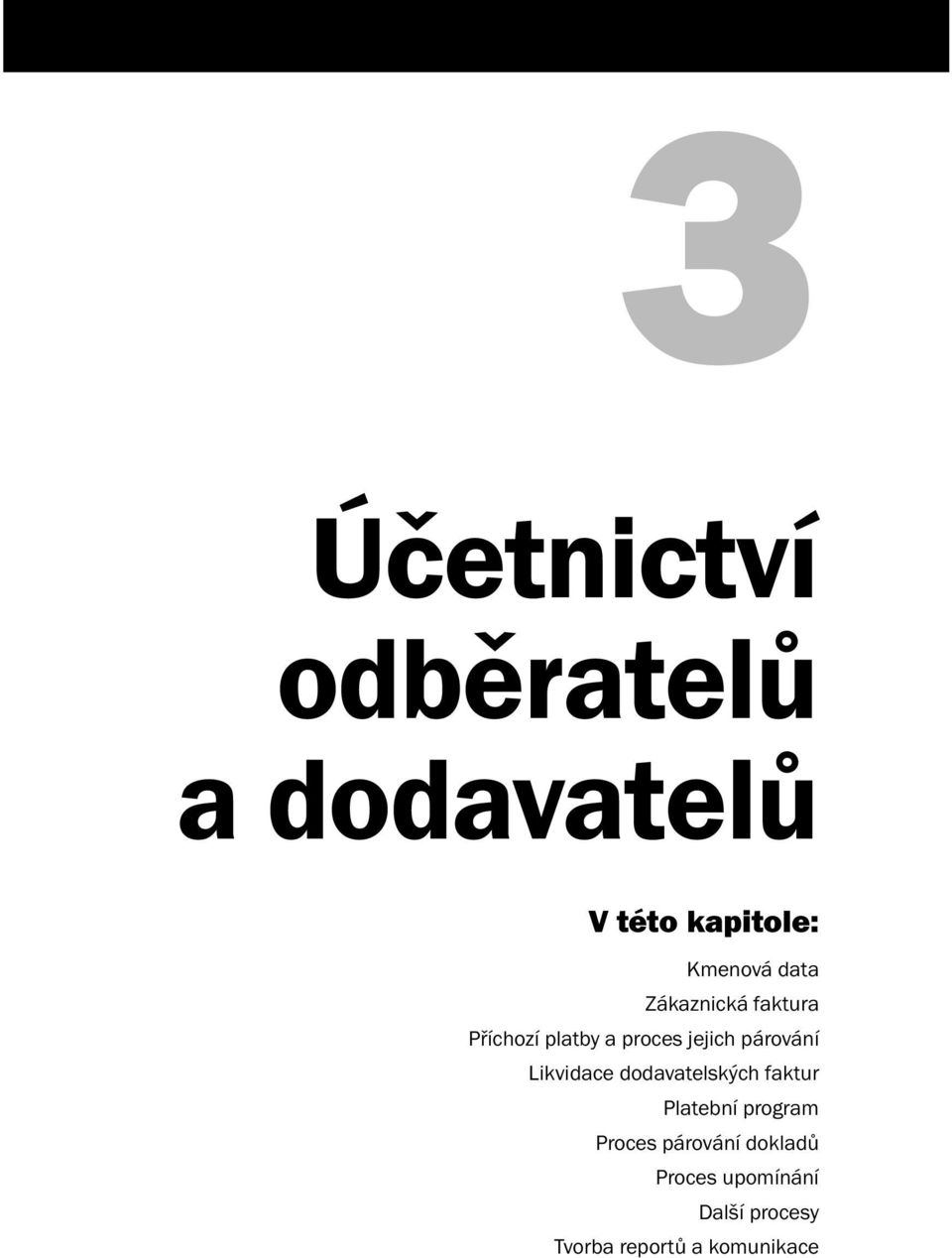 Likvidace dodavatelských faktur Platební program Proces párování