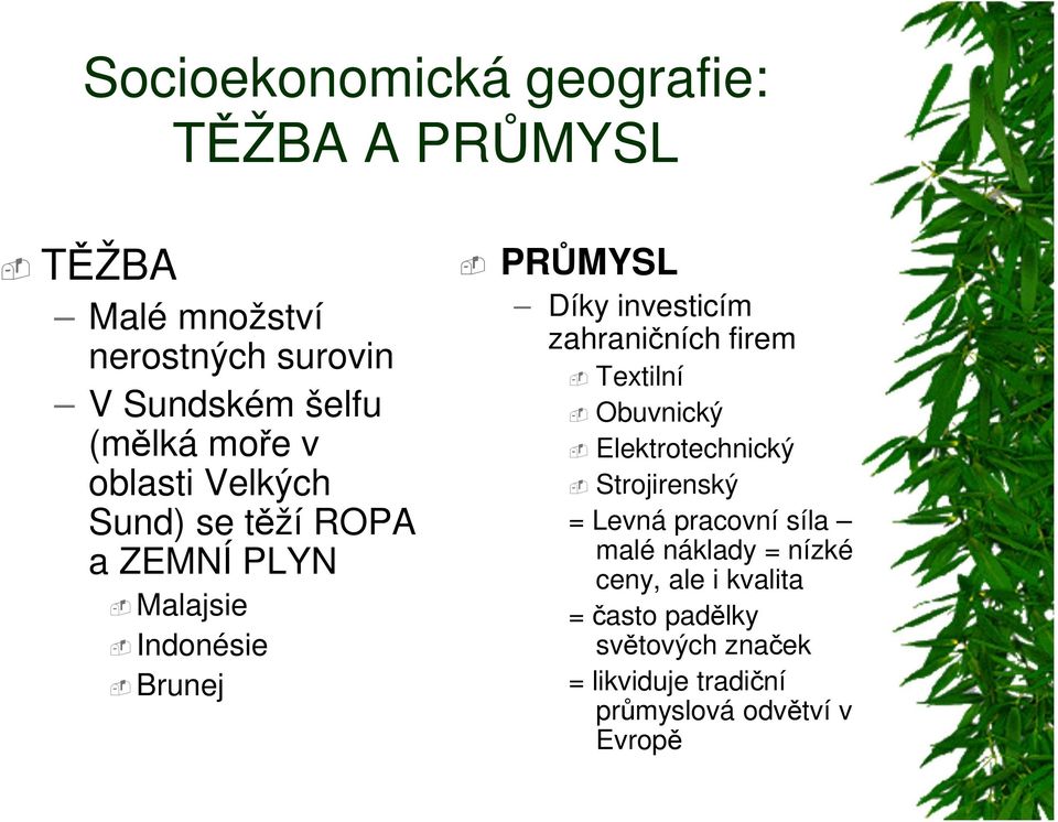 zahraničních firem Textilní Obuvnický Elektrotechnický Strojirenský = Levná pracovní síla malé náklady =