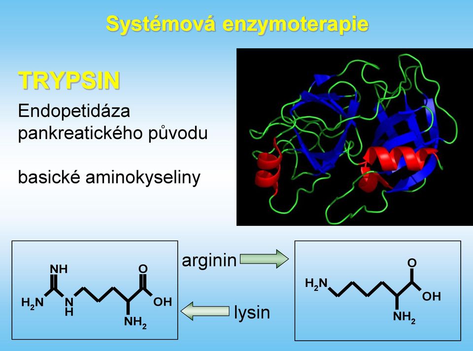 basické aminokyseliny 2