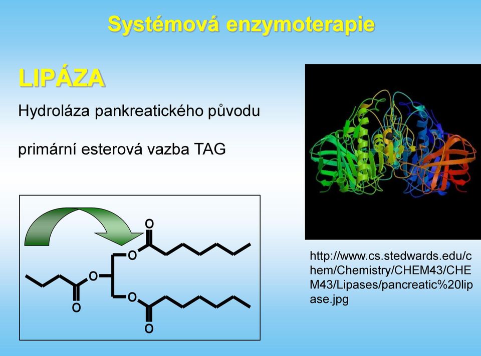 vazba TAG http://www.cs.stedwards.