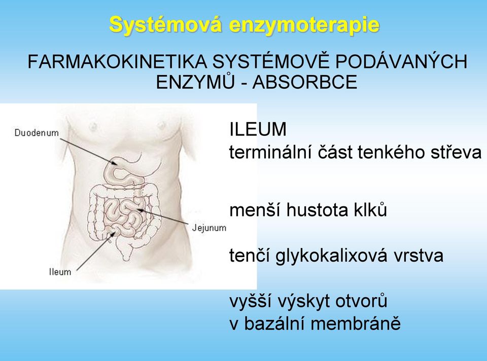 střeva menší hustota klků tenčí