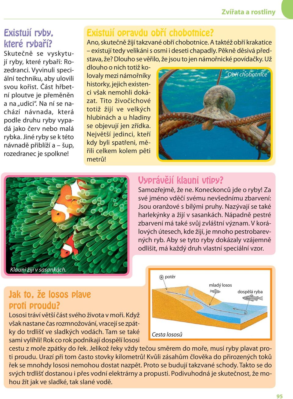 Ano, skutečně žijí takzvané obří chobotnice. A taktéž obří krakatice existují tedy velikáni s osmi i deseti chapadly. Pěkně děsivá představa, že? Dlouho se věřilo, že jsou to jen námořnické povídačky.
