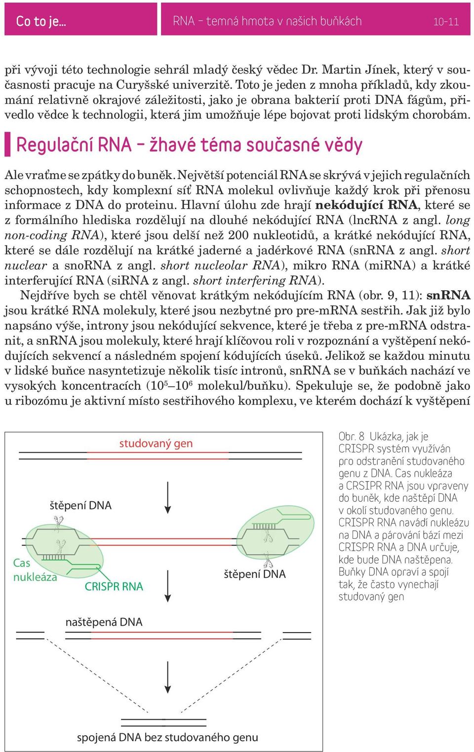 chorobám. Regulační RNA žhavé téma současné vědy Ale vraťme se zpátky do buněk.