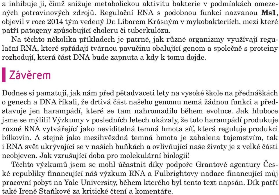Na těchto několika příkladech je patrné, jak různé organizmy využívají regulační RNA, které spřádají tvárnou pavučinu obalující genom a společně s proteiny rozhodují, která část DNA bude zapnuta a