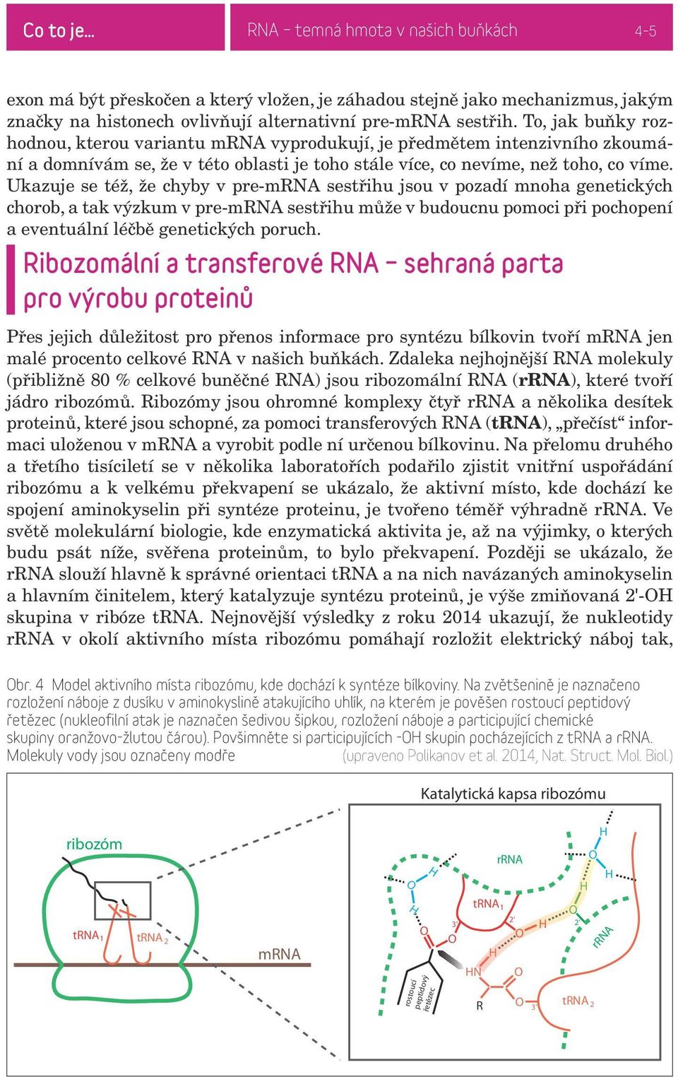 Ukazuje se též, že chyby v pre-mrna sestřihu jsou v pozadí mnoha genetických chorob, a tak výzkum v pre-mrna sestřihu může v budoucnu pomoci při pochopení a eventuální léčbě genetických poruch.