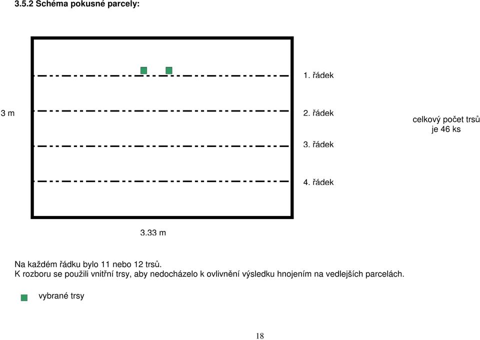 řádek 3,33 m Na každém řádku bylo 11 nebo 12 trsů.
