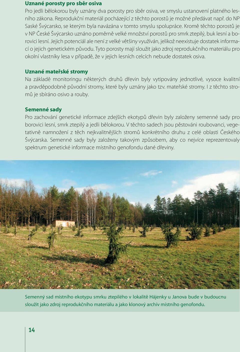 Kromě těchto porostů je v NP České Švýcarsko uznáno poměrně velké množství porostů pro smrk ztepilý, buk lesní a borovici lesní.