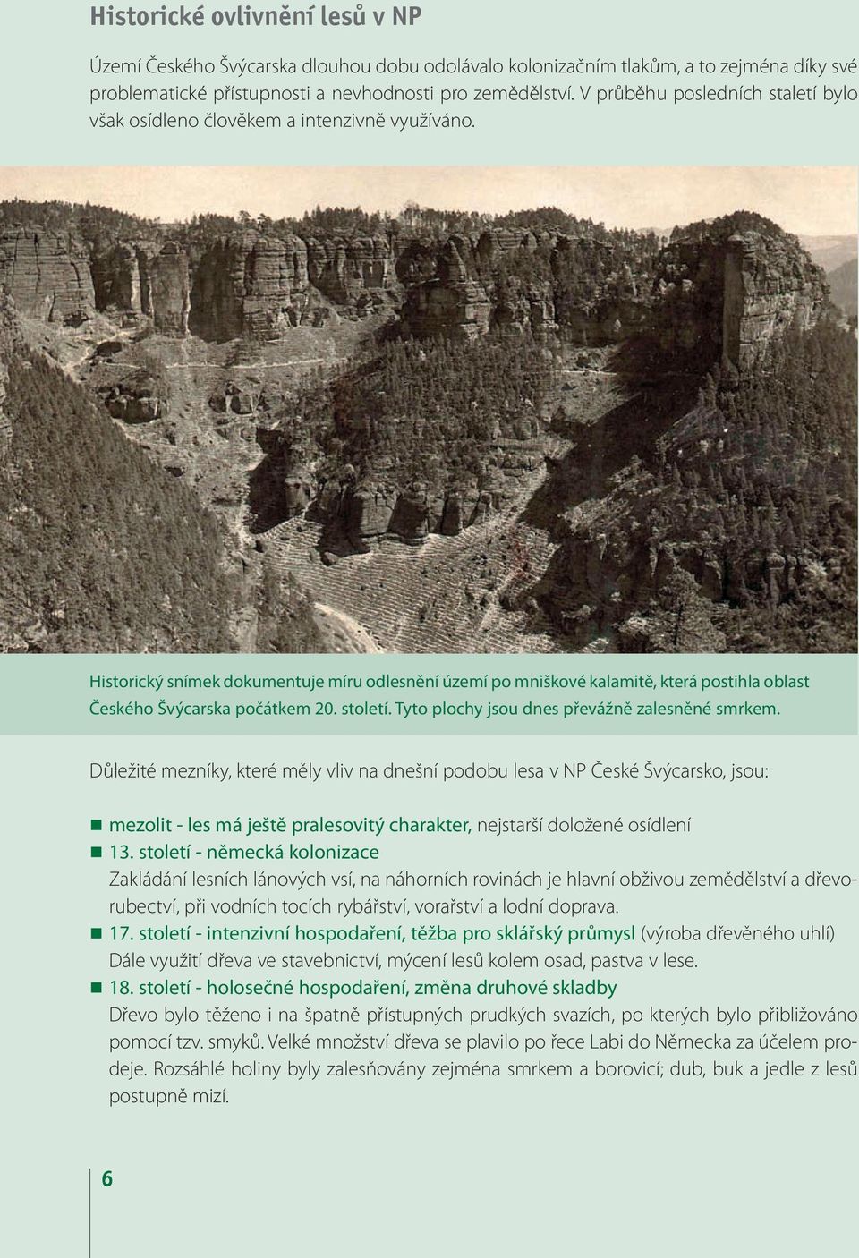 Historický snímek dokumentuje míru odlesnění území po mniškové kalamitě, která postihla oblast Českého Švýcarska počátkem 20. století. Tyto plochy jsou dnes převážně zalesněné smrkem.