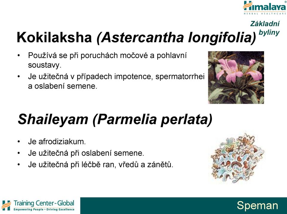 Je užitečná v případech impotence, spermatorrhei a oslabení semene.