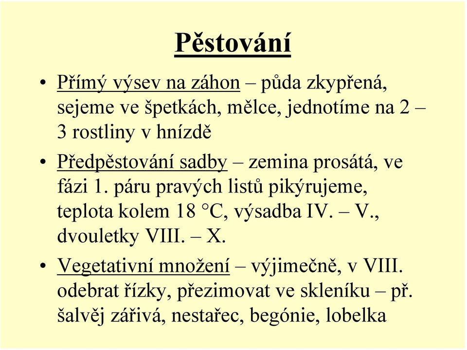 páru pravých listů pikýrujeme, teplota kolem 18 C, výsadba IV. V., dvouletky VIII. X.