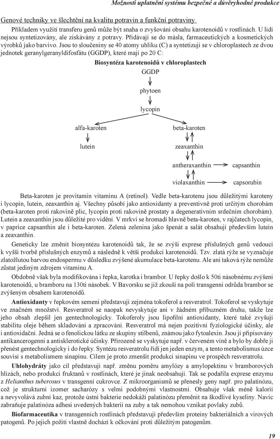 Jsou to sloučeniny se 40 atomy uhlíku (C) a syntetizují se v chloroplastech ze dvou jednotek geranylgeranyldifosfátu (GGDP), které mají po 20 C: Biosyntéza karotenoidů v chloroplastech GGDP phytoen