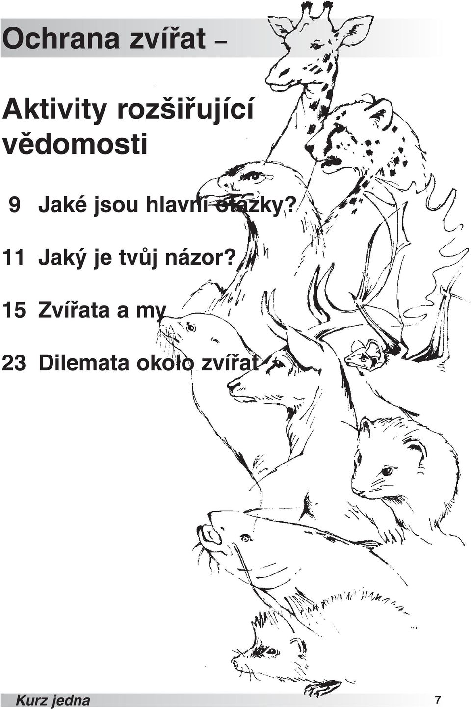 11 Jaký je tvůj názor?