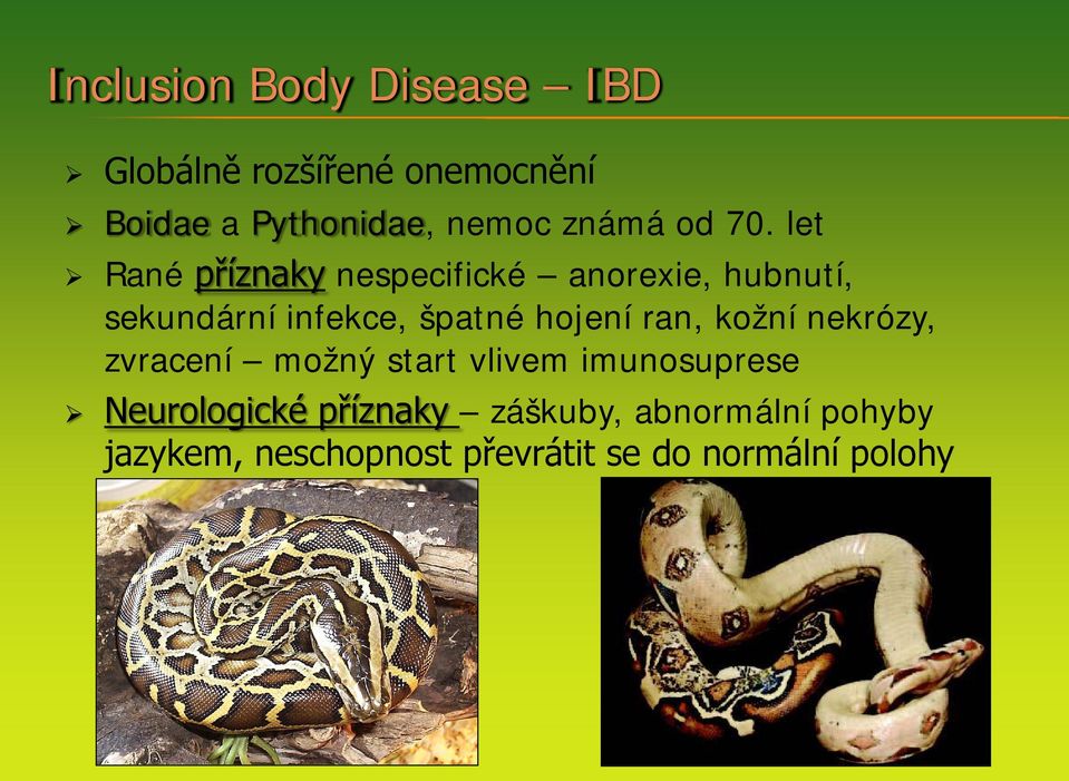 let Rané příznaky nespecifické anorexie, hubnutí, sekundární infekce, špatné hojení