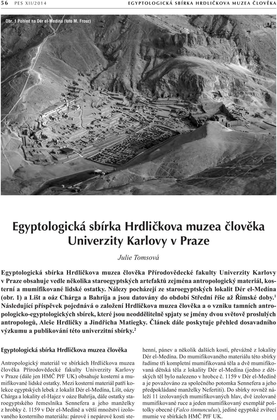 vedle několika staroegyptských artefaktů zejména antropologický materiál, kosterní a mumifikované lidské ostatky. Nálezy pocházejí ze staroegyptských lokalit Dér el-medína (obr.