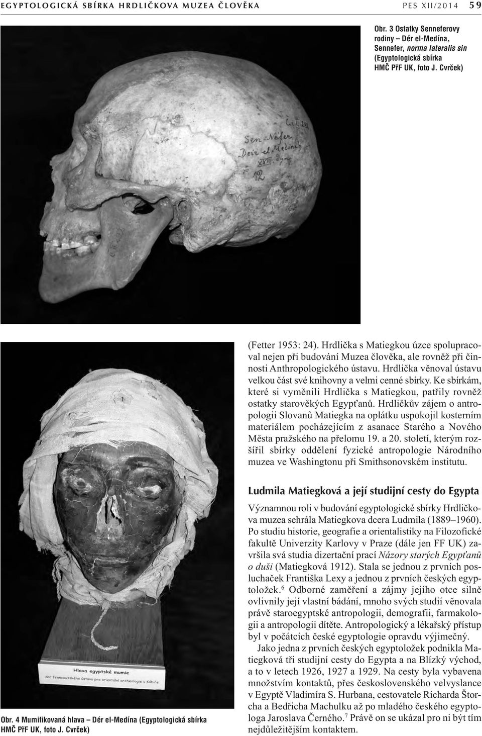 Hrdlička s Matiegkou úzce spolupracoval nejen při budování Muzea člověka, ale rovněž při činnosti Anthropologického ústavu. Hrdlička věnoval ústavu velkou část své knihovny a velmi cenné sbírky.