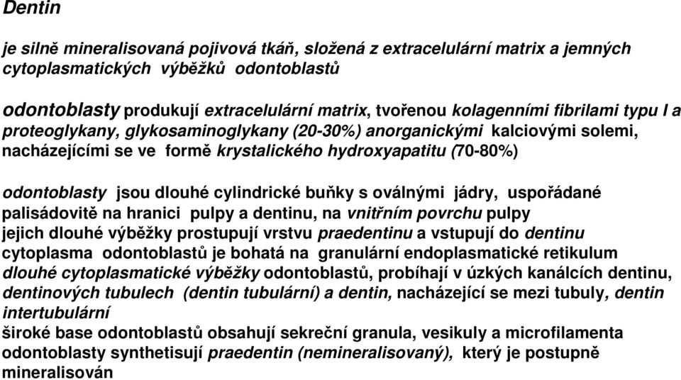 buňky s oválnými jádry, uspořádané palisádovitě na hranici pulpy a dentinu, na vnitřním povrchu pulpy jejich dlouhé výběžky prostupují vrstvu praedentinu a vstupují do dentinu cytoplasma odontoblastů