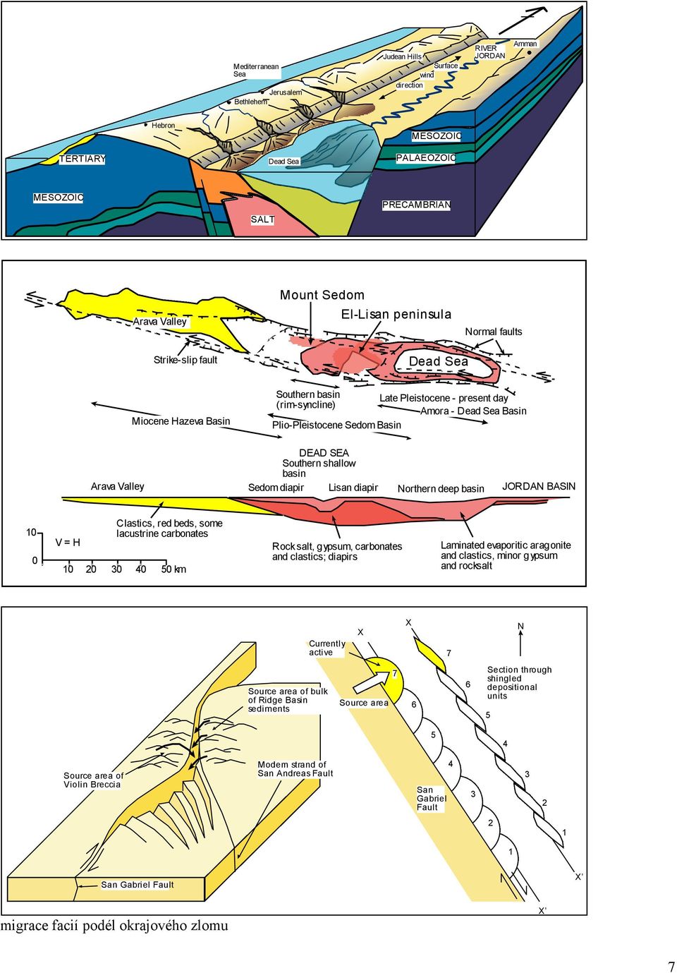 Southern shallow basin Arava Valley Sedom diapir Lisan diapir Northern deep basin JORDAN BASIN 10 0 V = H Clastics, red beds, some lacustrine carbonates 10 20 30 40 50 km Rock salt, gypsum,