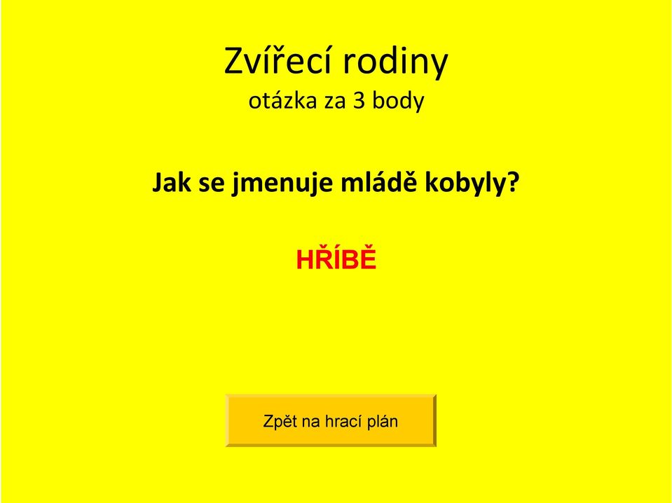 jmenuje mládě kobyly?