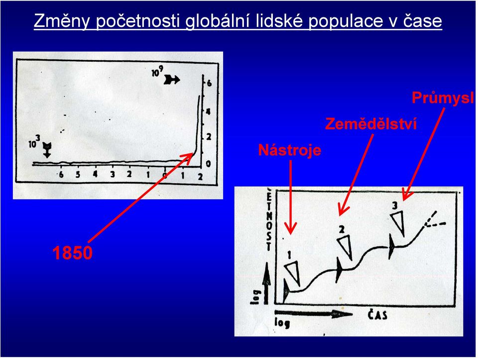 populace v čase