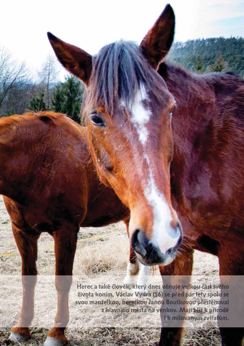 manželkou, herečkou Janou Bouškovou přestěhoval z hlavního města