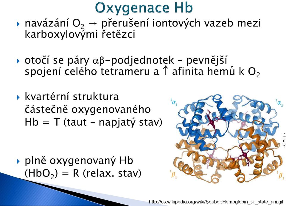 struktura částečně oxygenovaného Hb = T (taut napjatý stav) plně oxygenovaný Hb