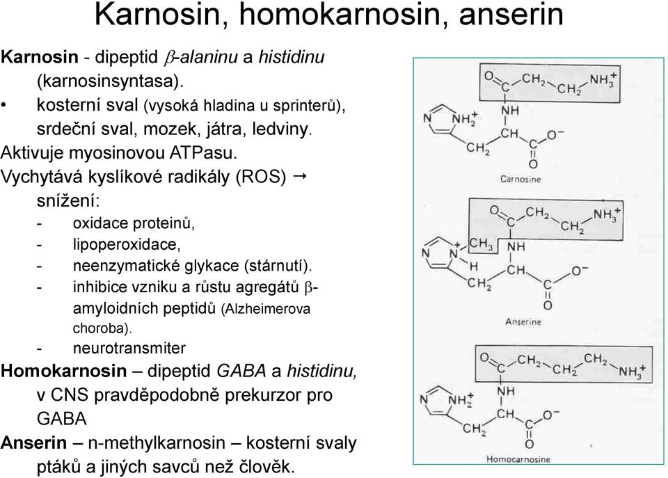 Vychytává kyslíkové radikály (ROS) snížení: - oxidace proteinů, - lipoperoxidace, - neenzymatické glykace (stárnutí).