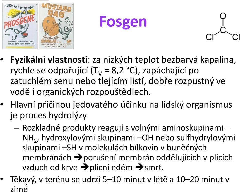 Hlavní příčinou jedovatého účinku na lidský organismus je proces hydrolýzy Rozkladné produkty reagují s volnými aminoskupinami NH 2,