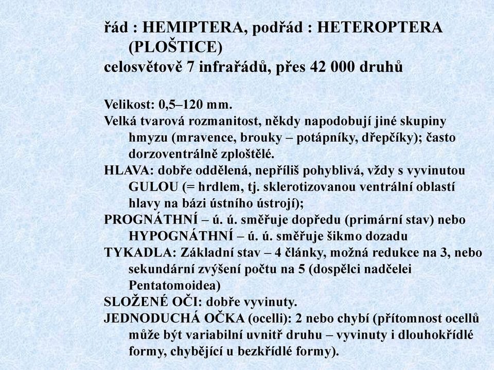 HLAVA: dobře oddělená, nepříliš pohyblivá, vţdy s vyvinutou GULOU (= hrdlem, tj. sklerotizovanou ventrální oblastí hlavy na bázi ústního ústrojí); PROGNÁTHNÍ ú. ú. směřuje dopředu (primární stav) nebo HYPOGNÁTHNÍ ú.