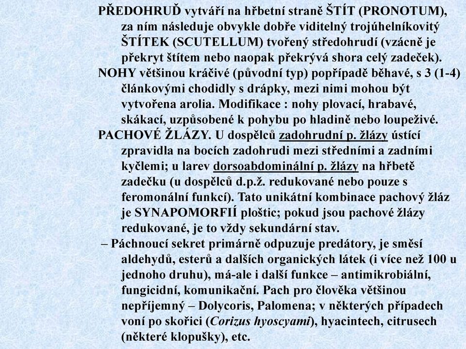 Modifikace : nohy plovací, hrabavé, skákací, uzpůsobené k pohybu po hladině nebo loupeţivé. PACHOVÉ ŢLÁZY. U dospělců zadohrudní p.