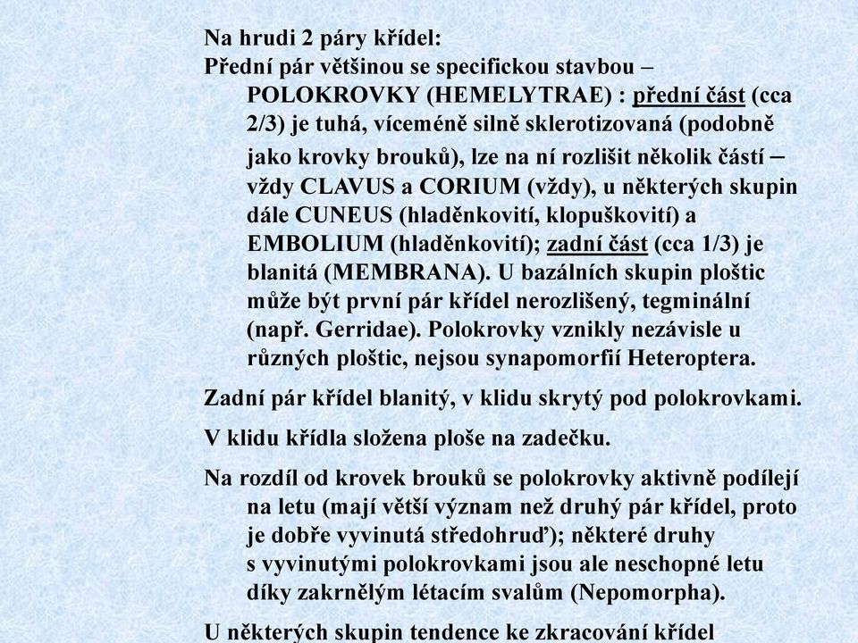 U bazálních skupin ploštic můţe být první pár křídel nerozlišený, tegminální (např. Gerridae). Polokrovky vznikly nezávisle u různých ploštic, nejsou synapomorfií Heteroptera.