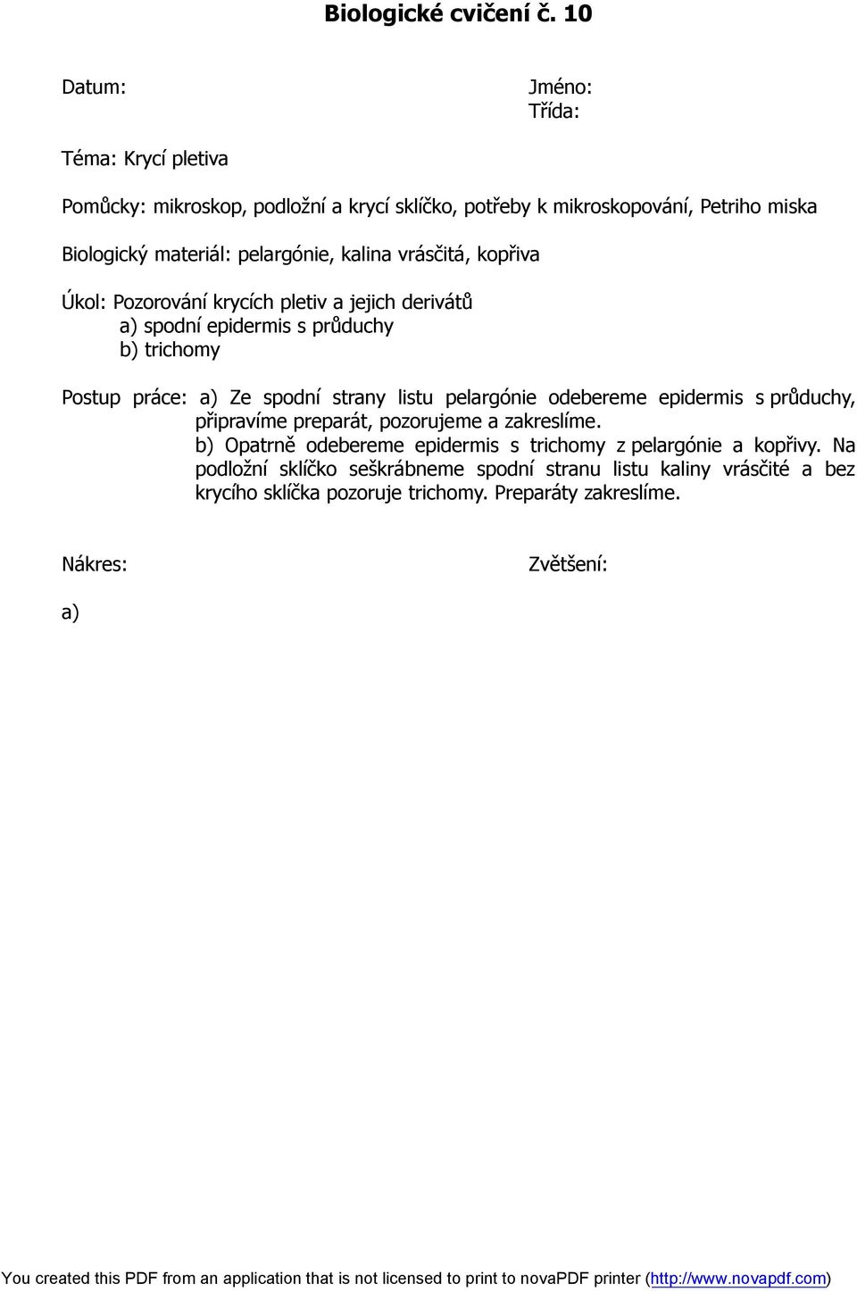 vrásčitá, kopřiva Úkol: Pozorování krycích pletiv a jejich derivátů a) spodní epidermis s průduchy b) trichomy Postup práce: a) Ze spodní strany listu