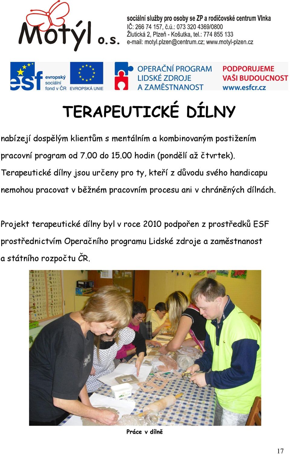 Terapeutické dílny jsou určeny pro ty, kteří z důvodu svého handicapu nemohou pracovat v běţném pracovním procesu