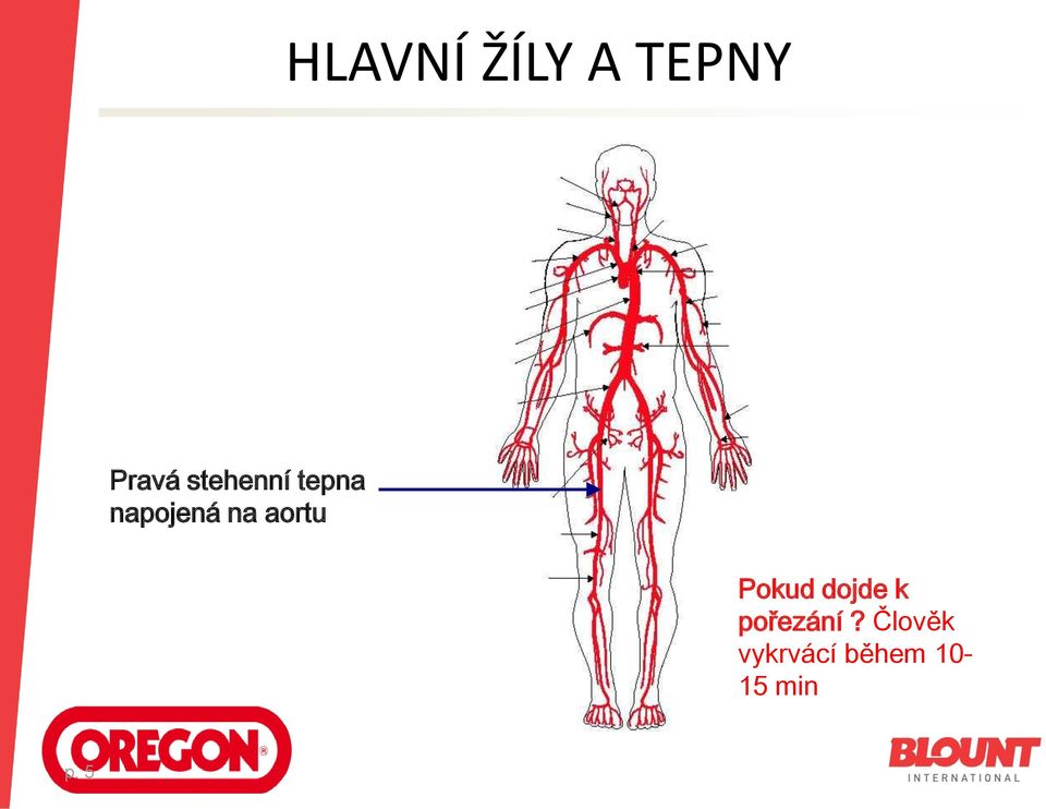 aortu Pokud dojde k pořezání?